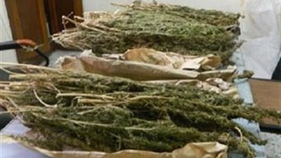 ضبط 10 كيلو بانجو داخل سيارة بالإسماعيلية