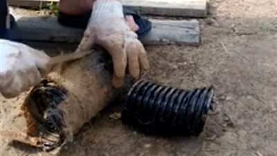 لحظة إنقاذ قنفذ محاصر بماسورة مياه (فيديو)