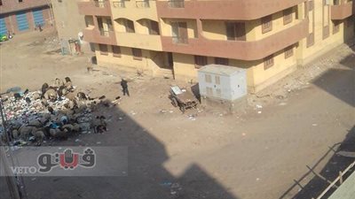 بالصور.. مواطنون يستولون على شقق الإسكان الاجتماعي بشبين الكوم