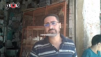 بالفيديو.. ارتفاع أسعار الدواجن بالأسواق