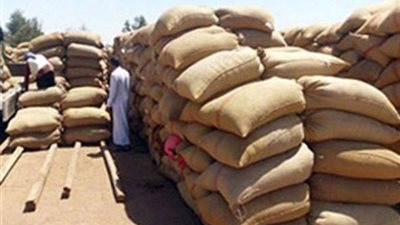 توريد 99 ألف طن قمح لشون وصوامع سوهاج