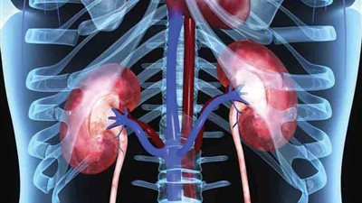 5 مشروبات صباحية ترطب الجسم وتحافظ على سلامة الكلى