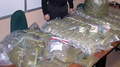 ضبط 250 كيلو بانجو بمزرعة في القصاصين بالإسماعيلية