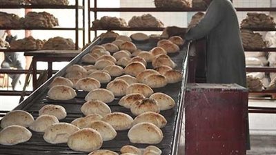 «العامة للمخابز»: 100% نسبة القمح المحلي في الرغيف المدعم