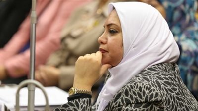 سولاف درويش مساعد رئيس حزب حماة الوطن: هكون قد المسئولية