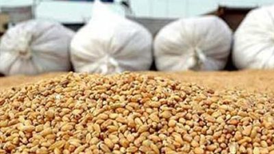 760 ألف طن مخزون القمح بميناء الإسكندرية