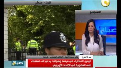 سعد زغلول: انفصال بريطانيا يؤدي إلى تفكك الاتحاد الأوروبي