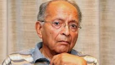 «السعيد»: «السيسي» يحاول تصويب عوار قانون التظاهر