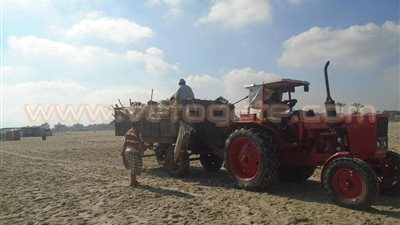 بالصور.. رفع كفاءة شاطئ «جمصة» بعد تحذيرات محافظ الدقهلية