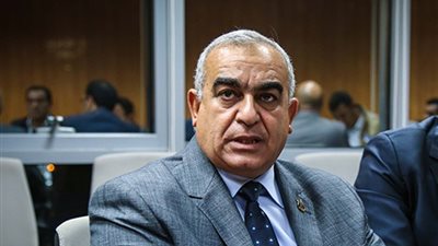 «حماة الوطن» يحدد موقفه من الموازنة العامة للدولة.. غدا