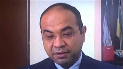 سفير مصر في الجابون: مستعدون لاستقبال بعثة الأهلي والتصويت بالانتخابات