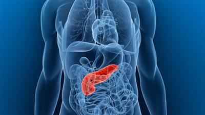 سرطان البنكرياس من أكثر الأنواع فتكا في بريطانيا بحلول عام 2026
