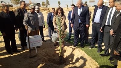 وزيرا النقل والتضامن يغرسان نخلة في الوادي الجديد (صور)