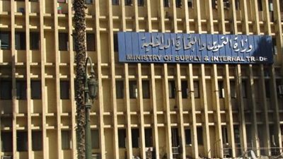 «التموين» تكثف الحملات الرقابية على منتجات الأسماك قبل شم النسيم