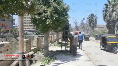 بالصور.. حملة نظافة بالسنبلاوين تحت شعار «في حب مصر»