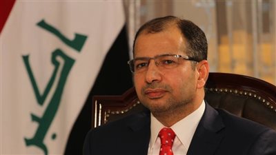 النواب العراقي: القضاء على داعش يتطلب تضافر الجهود الدولية والمحلية