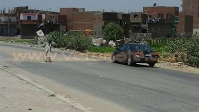 انتشار المطبات العشوائية على دائري الفيوم يزيد من حوادث الطرق