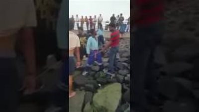 بالفيديو.. لحظة اصطياد سمكة قرش على كورنيش جدة