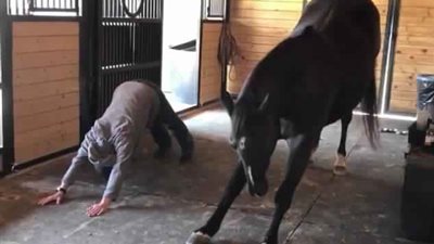 حصان يشارك صاحبته ممارسة اليوجا (فيديو وصور)