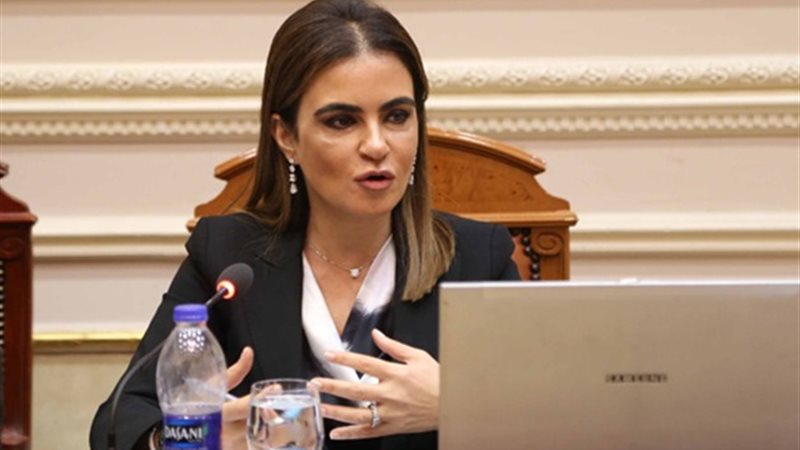 الدكتورة سحر نصر،