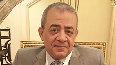 مجلس الدولة يواجه فساد التعاقدات الحكومية والممارسات الإدارية