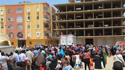 29 جنيها سعر كيلو الدواجن في الغردقة.. و650 قرشا للأرز