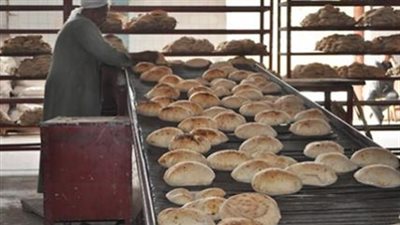 العليا للمخابز بالجيزة: الأولوية للتجمعات العمرانية الأكثر احتياجا
