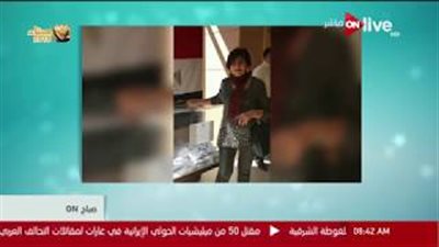 كبار السن والسيدات يتصدرون مشهد الانتخابات المصرية في لبنان (فيديو)