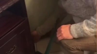 مطاردة مثيرة بين رجل وابنه وفأر (فيديو وصور)