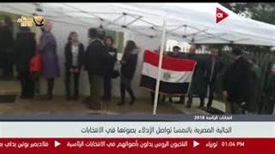 توافد الناخبين المصريين على صناديق الاقتراع في النمسا (فيديو)