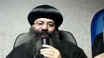 الأنبا مارتيروس: الاصطفاف الوطني حائط صد منيع ضد الإخوان