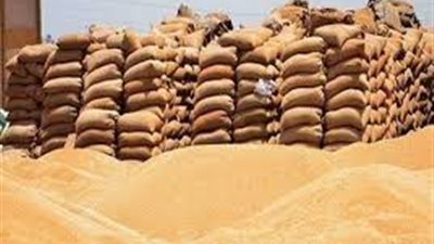 «تموين الجيزة»: توريد 93 ألف طن قمح