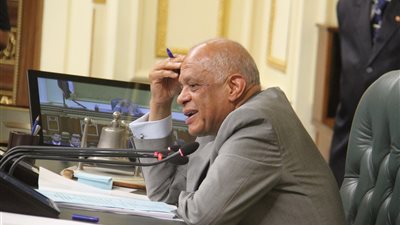 «البرلمان» يحيل «فساد القمح» للنائب العام و«الكسب غير المشروع»