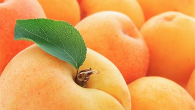 5 فوائد طبية لـ