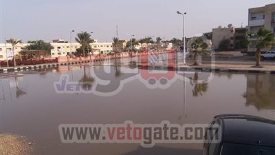 أهالى طور سيناء يلزمون 