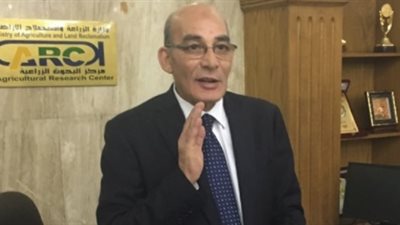 البرلمان يستدعي وزيري التنمية والزراعة بسبب انقراض أشجار الزيتون