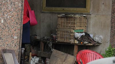 بالصور.. سينما فاتن حمامة تتحول إلى «غية» حمام