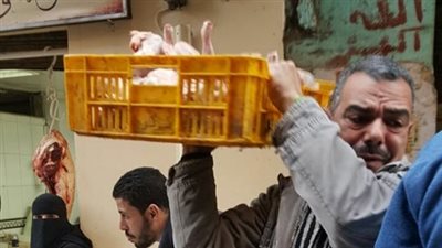 ضبط نصف طن لحوم فاسدة بحملة تفتيش على المحال في القليوبية (صور)