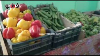 بالفيديو.. تباين أسعار الخضراوات بسوق مشعل