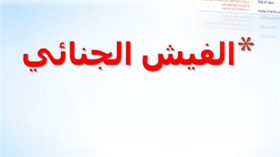 «الفيش الجنائي» النظيف من الاتهامات.. «تقرير»