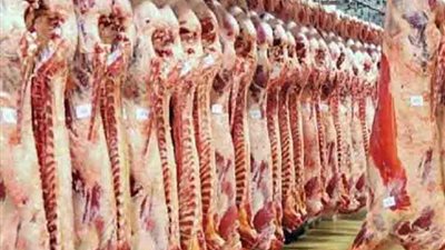 الحكومة تنفي طرح لحوم حمير مفرومة بالمجمعات الاستهلاكية