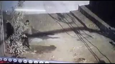 بالفيديو.. لحظة سرقة دراجة نارية في «أبوكبير» بالشرقية