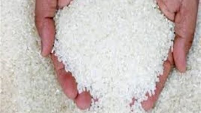 «شعبة الأرز»: 5 جنيهات للكيلو والسعر ينخفض بعد عيد الأضحى