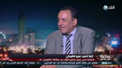 بالفيديو.. عمرو الشوبكي: حكم عودتي لـ «النواب» نهائي والبرلمان «يماطل»