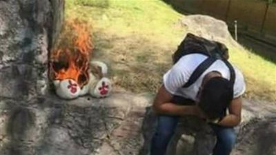 بالصور.. ضحايا الفالنتين