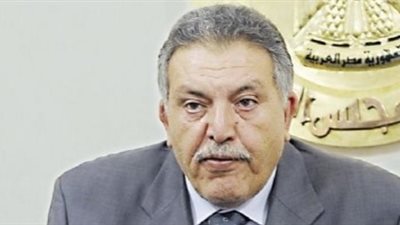 «الوكيل»: «الغرف التجارية» تشارك في مبادرة «أهلًا رمضان»