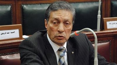 الجمال: عرس الانتخابات يكتمل بمشاركة المصريين في الداخل