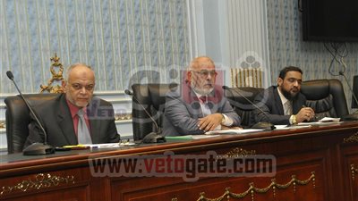 عضو بالشورى: نظام مبارك دمّر صناعة الدواجن لصالح مافيا الاستيراد