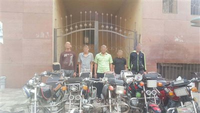 بالأسماء.. ضبط تشكيل عصابي لسرقة الدراجات البخارية بالدقهلية