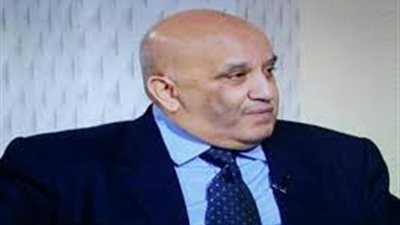 «إلحاق العمالة» تطالب بإنشاء «مجلس أعلى» لرعاية المصريين بالخارج